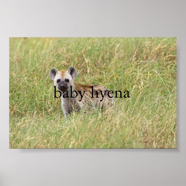 baby hyena poster (Front)