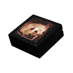 Baby in a Bag Maltese Puppy Gift Box