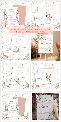 Baby in Bloom Boho Wildflower Baby Shower