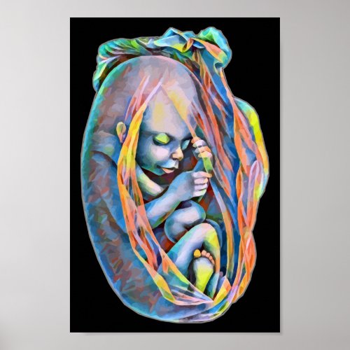 Baby In The Womb Abstract Human Anatomy Art Poster