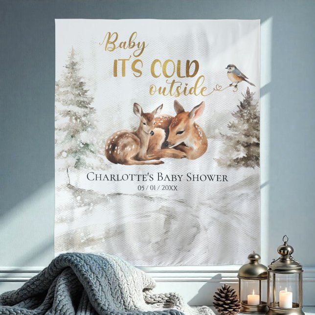 Baby it's cold outside Baby Shower Backdrop (Creator Uploaded)