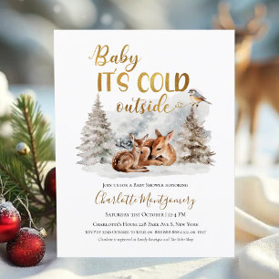 Baby it's cold outside Baby Shower Invitations