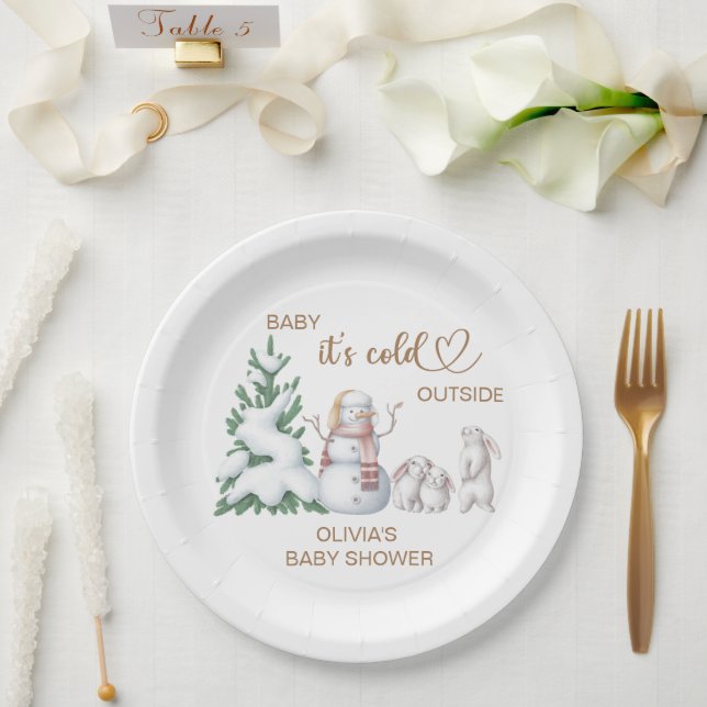 Baby its cold outside. Baby Shower.  Paper Plates (Wedding)