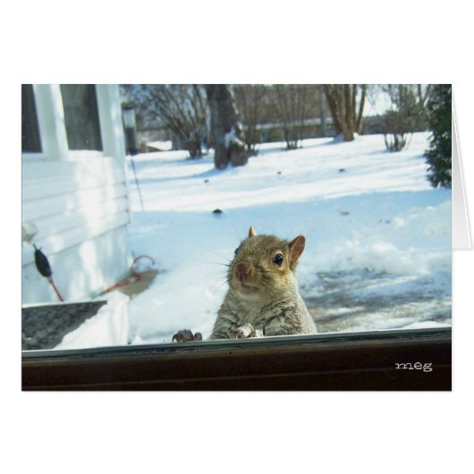Baby It's Cold Outside Cards (Front Horizontal)