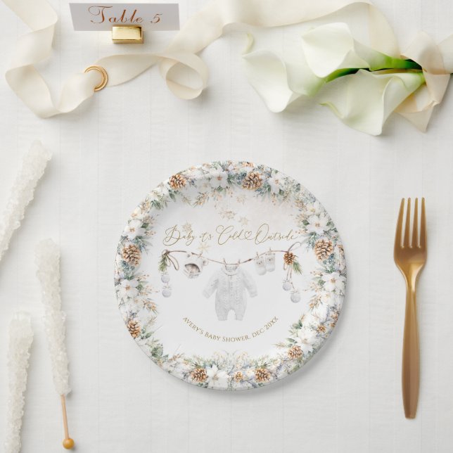 Baby Its Cold Outside Clothest Line Baby Shower Paper Plates (Wedding)