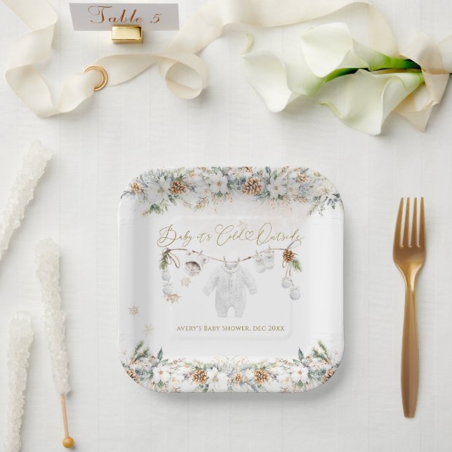 Baby Its Cold Outside Clothest Line Baby Shower Paper Plates (Wedding)