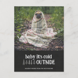 Baby Its Cold Outside Cute Pet Holiday Photo