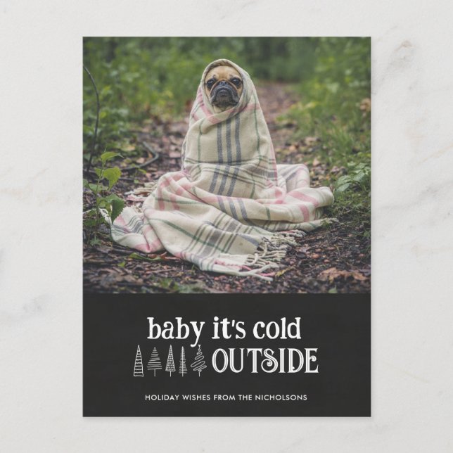 Baby Its Cold Outside Cute Pet Holiday Photo (Front)