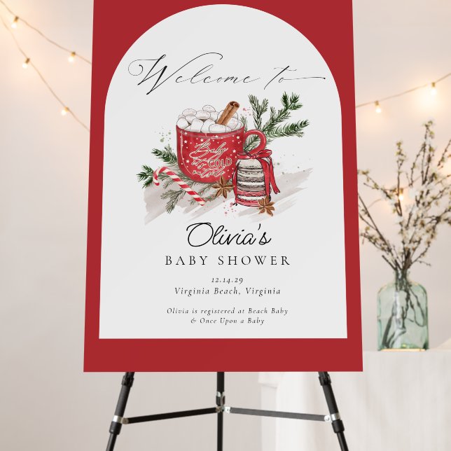 Baby It's Cold Outside Winter Baby Shower Welcome  Foam Board (In Situ (Stand))