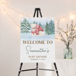 Baby It's Cold Outside Winter Baby Welcome Sign