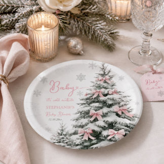 Baby It's Cold Outside Winter Girl Baby Shower Paper Plates