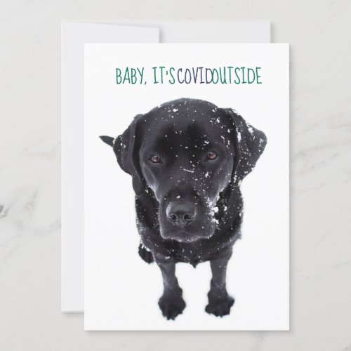 Baby its Covid Outside _ Funny Christmas Snow Dog Holiday Card