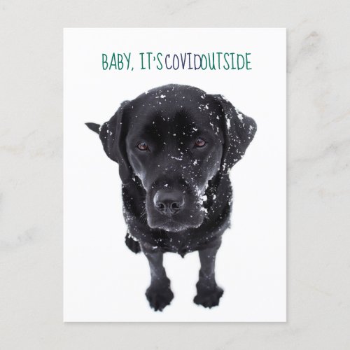 Baby its Covid Outside _ Funny Christmas Snow Dog Holiday Postcard
