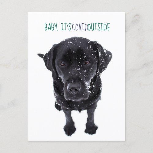 Baby its Covid Outside _ Funny Christmas Snow Dog Postcard