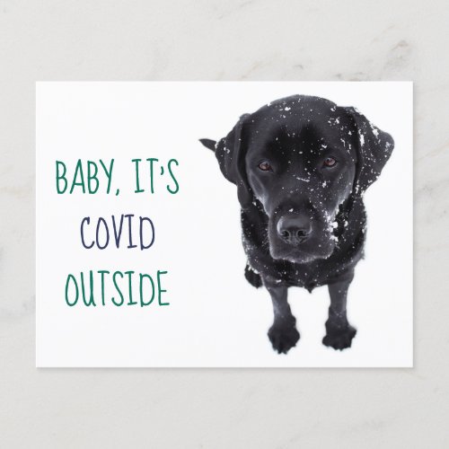 Baby its Covid Outside_ Funny Quarantine Snow Dog Holiday Postcard