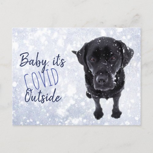 Baby its Covid Outside_ Funny Quarantine Snow Dog Postcard