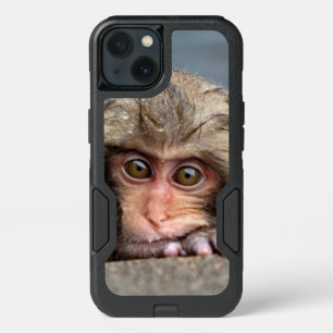 Baby Japanese Macaque   Jigokudani Yaen-Koen iPhone 13 Case