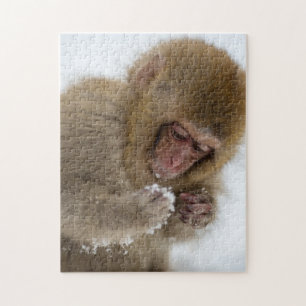 Baby Japanese Macaque Snow Monkey Jigsaw Puzzle