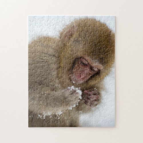 Baby Japanese Macaque  Snow Monkey Jigsaw Puzzle