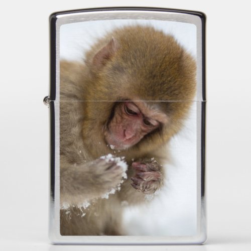 Baby Japanese Macaque  Snow Monkey Zippo Lighter
