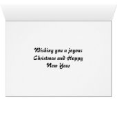 baby jesus cards (Inside Horizontal (Bottom))