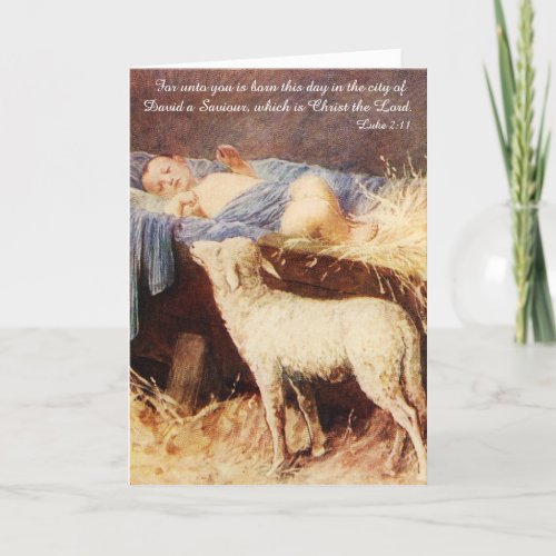 Baby Jesus in a Manger with Lamb Holiday Card