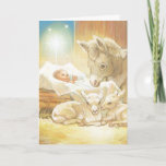 Baby Jesus Nativity With Lambs And Donkey Holiday Card at Zazzle