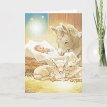 Baby Jesus Nativity With Lambs And Donkey Holiday Card by gingerbreadwishes at Zazzle