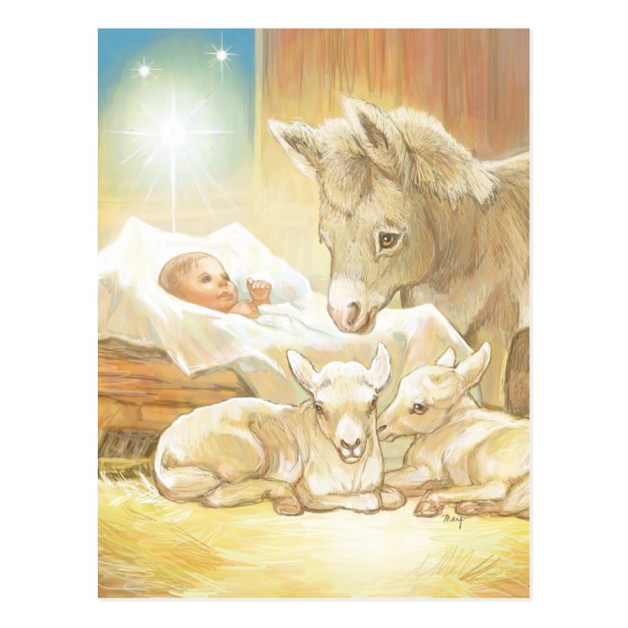 Baby Jesus Nativity with Lambs and Donkey Postcards