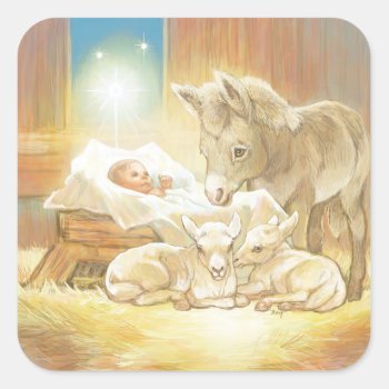 Baby Jesus Nativity With Lambs And Donkey Square Sticker by gingerbreadwishes at Zazzle