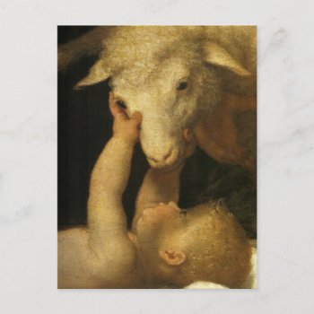 Baby Jesus Touches Lamb Holiday Postcard by dmorganajonz at Zazzle