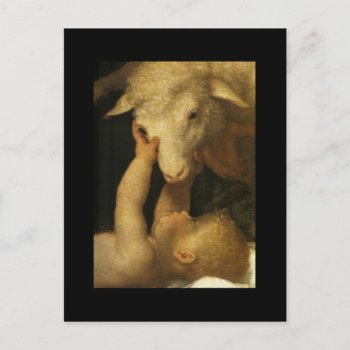Baby Jesus Touches Lamb Postcard by dmorganajonz at Zazzle