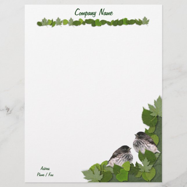 Baby Junco's Letterhead (Front)