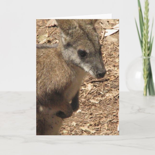 Baby Kangaroo Greeting Card (Front)
