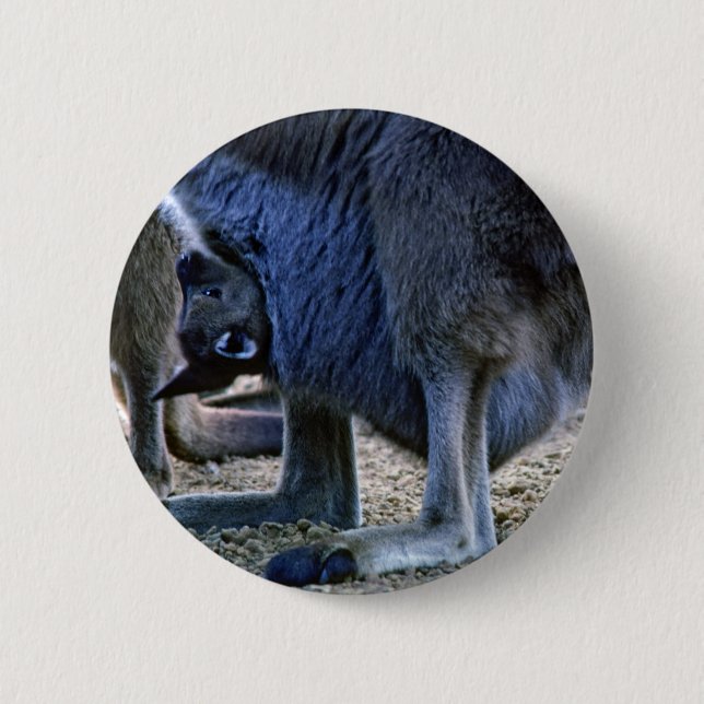 Baby kangaroo in mother's pouch - Australia Button (Front)
