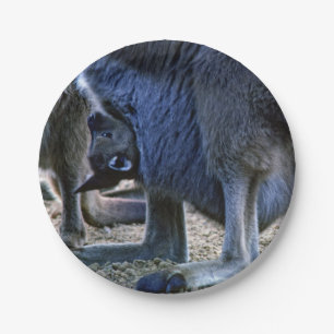 Baby kangaroo in mother's pouch - Australia Paper Plates