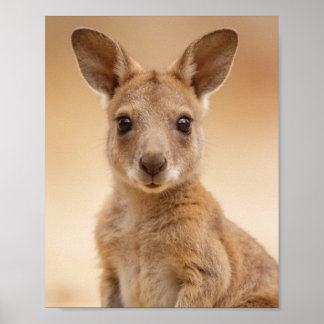 Baby Kangaroo Portrait – Cute Nursery Animal Wall Poster