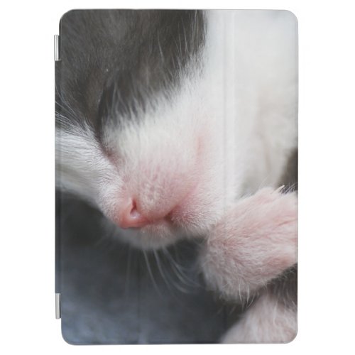 Baby kitten iPad case