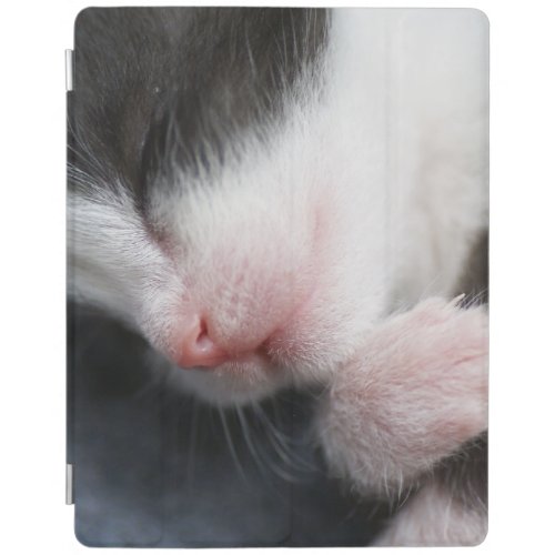 Baby kitten iPad case