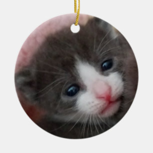 Baby Kitten Ornament Grey & White