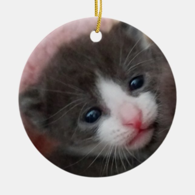 Baby Kitten Ornament Grey & White (Front)