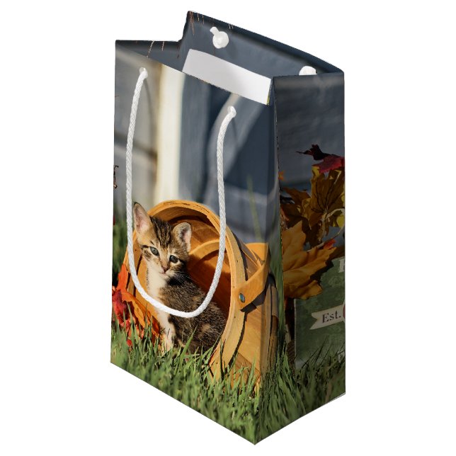 Baby Kittens in Fall Decorations Small Gift Bag (Front Angled)