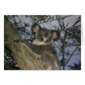 Baby Koala Card (Front Horizontal)