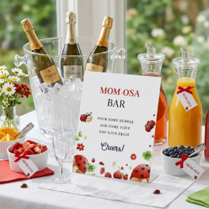Baby lady bug Girl baby shower Favor sign