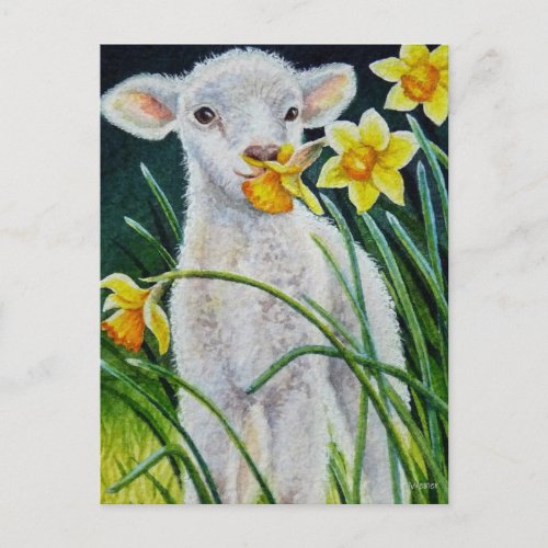 Baby Lamb and Spring Daffodils Watercolor Art Post Postcard