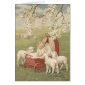 Baby Lamb Dogwood Tree Field (Front)