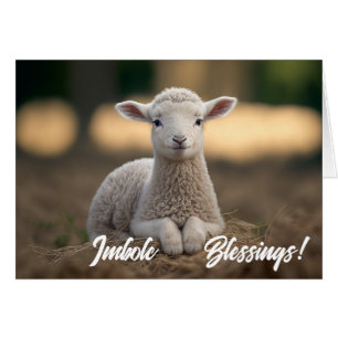 Baby Lamb Imbolc Blessings Cards
