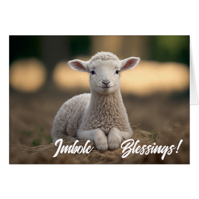 Baby Lamb Imbolc Blessings Cards (Front Horizontal)