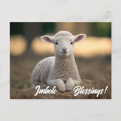 Baby Lamb Imbolc Blessings Postcard