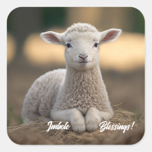 Baby Lamb Imbolc Blessings Square Sticker